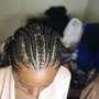 Lemonade Feed-in Braids