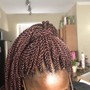 Natural Twists/ Coils