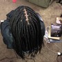 Loc Retwist (Top of Head Locs)