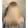 Flat Iron (Mid Back to Waist Length)