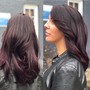 Single Process Color, medium; Womens  Cut and style