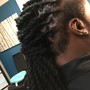 Starter Dreadlocks