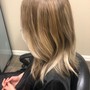 Full highlights with lowlights (toner)