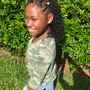 Box Braids medium mid back