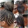 Comb Twist/ med to long 5 to 12 inches