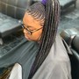 Boho Knotless Braids (SMedium)