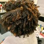 Natural Hair Regimen Consultation