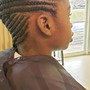 Feed in ponytail (small)