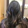 Partial highlights and Lowlights