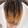 Starter locs