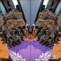 Flexi Rods/ Perm Rods