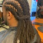 Starter Locs