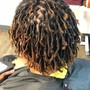 Starter Locs