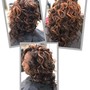 Root Touch Up