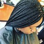 Tree Braids