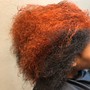 Shampoo condition and curl