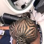 small Senegalese/kinky/passion Twist (midback)