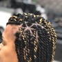 small Senegalese/kinky/passion Twist (midback)