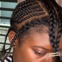 Small Feed in Ponytail Braid