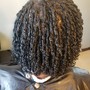 Starter Locs: Comb Coils (sm/med) - Shoulder Length