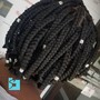 Flat Twists (FOR TWIST OUT)