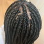 Havana Twists