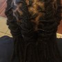 Havana Twists