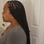 Sleek Ponytail