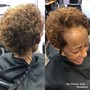 Root Touch Up