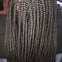 Natural Twists