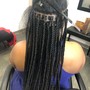 2  feed in  Braids