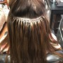 V light/Combline extensions