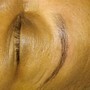 Microblading or Microshading Touch Up (Existing brow client 3-6 month)