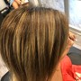 Root Touch Up