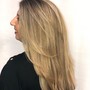 Full Highlight or Balayage