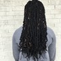 Locs (Groomed)