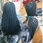 Passion Twist bob Medium