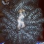 Twist Out