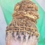 Soap cap (locs)