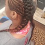 5-6 Feed-in Ponytail(Premium Hair Included)