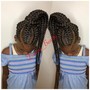 Butterfly braids /Heart braids