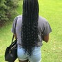 Regular Knotless Braids (butt length