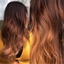 Partial Balayage/Partial Babylights