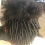 Root Touch Up