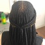 Butterfly Locs Waist Length