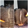 Lace Closure Revive