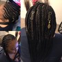 Feed  In Braids