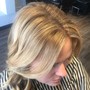 Partial Highlight Root Touchup