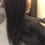 Braid Root Touch Up