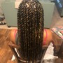 Box Braids